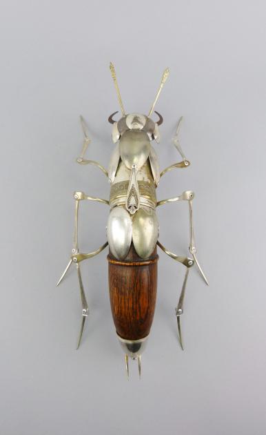 Hybrid Gallery Dean Patman Rove Beetle