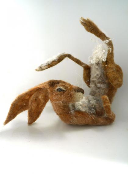 Hybrid Gallery Gemma Bee Playful Hare