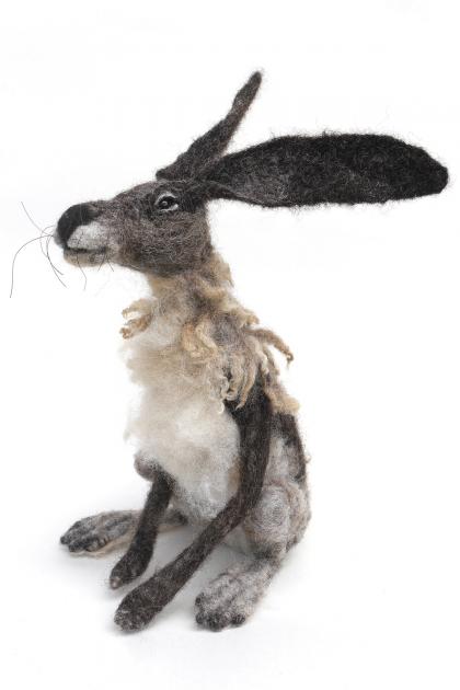 Hybrid Gallery Gemma Bee Sitting Hare