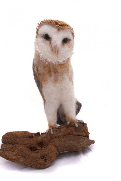 Hybrid Gallery Gemma Bee Barn Owl