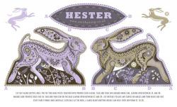 Hester the Hare
