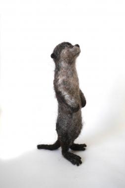 Hybrid Gallery Gemma Bee Otter