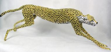 Hybrid Gallery Val George Cheetah