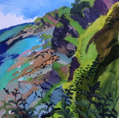 Hybrid Gallery Mark Rochester  Early Summer on the Cliffs