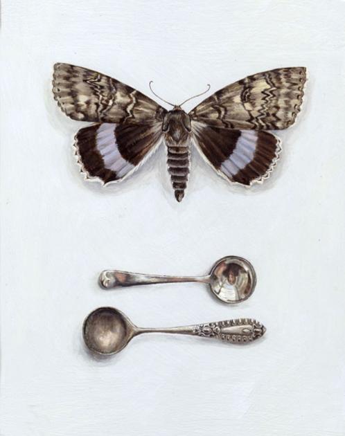 Moth with Salt Spoons
