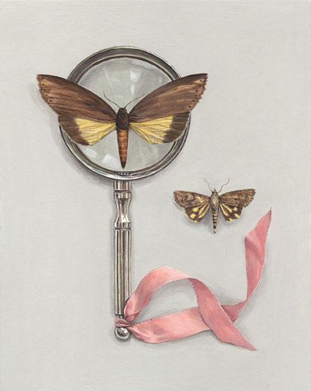 Hybrid Gallery Rachel Ross Moths with Magnifying Glass