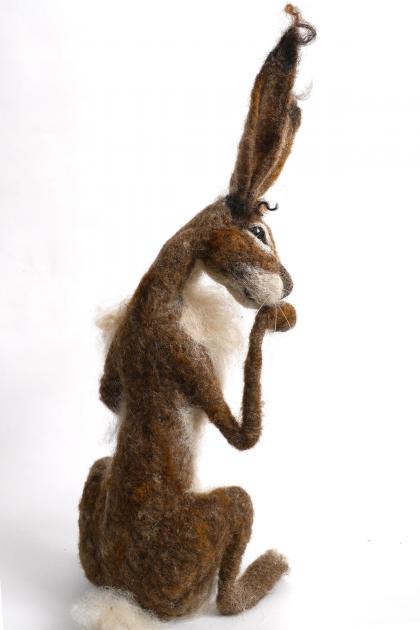 Hybrid Gallery Gemma Bee Brown Hare