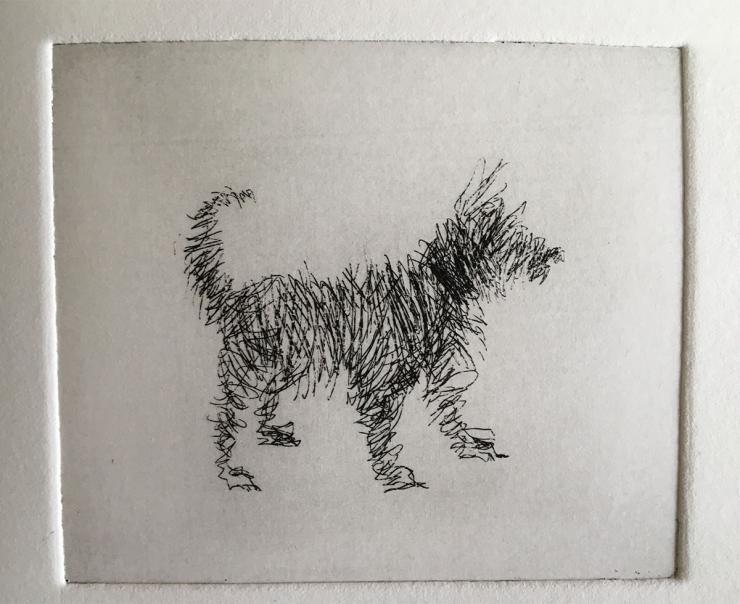Hybrid Gallery Sally Muir Scribble Dog100 x 110 mm100 x 110 mm