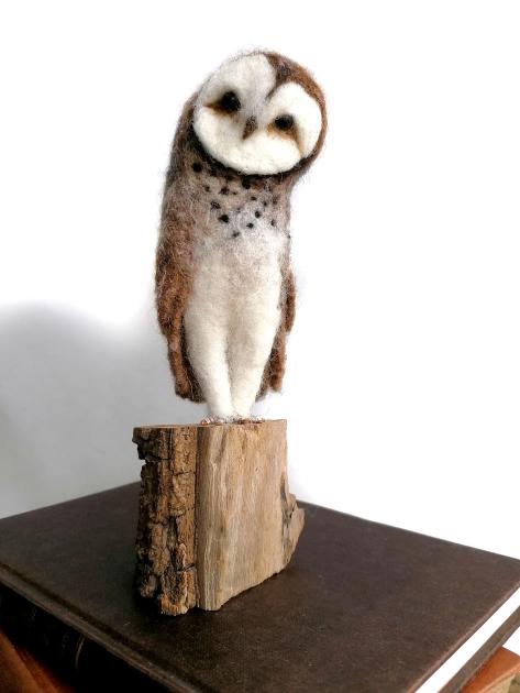 Hybrid Gallery Gemma Bee Barn Owl (inclined head)