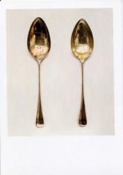 Rachel Ross Hybrid Gallery Two Dessert Spoons