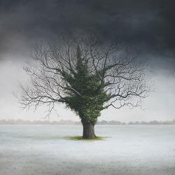 Hybrid Gallery Lee Madgwick A Dusting