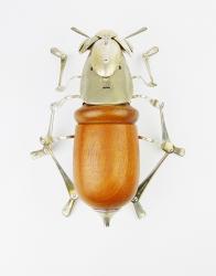 Hybrid Gallery Dean Patman Wood Beetle