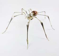 Hybrid Gallery Dean Patman House Spider
