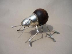 Desert Beetle
