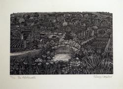 Hybrid Gallery Hilary Paynter The Allotments