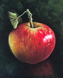 Hybrid Gallery Denise Heywood Orchard Apple