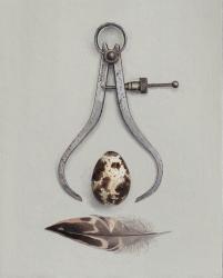Hybrid Gallery Rachel Ross Calipers with Quail's Egg and Feather