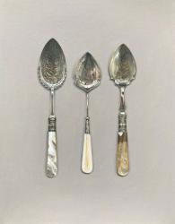 Hybrid Gallery Rachel Ross Three Jam Spoons 