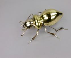 Hybrid Gallery Dean Patman Copper Beetle