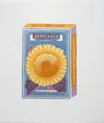 Hybrid Gallery Sophie Elm Sunflower