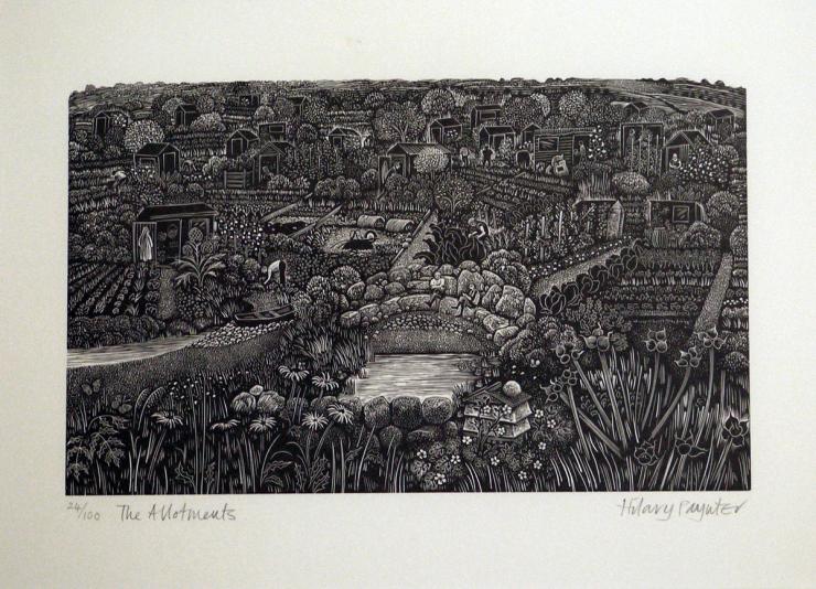 Hybrid Gallery Hilary Paynter The Allotments