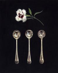 Hybrid Gallery Rachel Ross Pink with Three Saltspoons